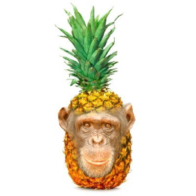 pineapple chimp's profile picture