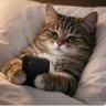 Profilbild von ๐ฎ๐ท(M)๐ฑ