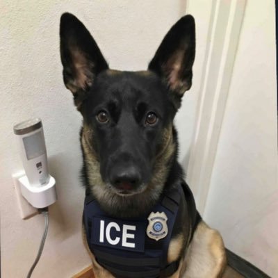 Tommyboi4209's profile picture