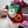 จะเป็นอาหมวยอีกครั้ง's profile picture