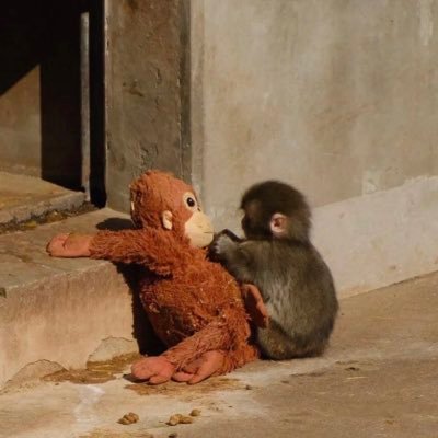 j0zephyne's profile picture
