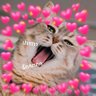 ส่องแอบๆ's profile picture