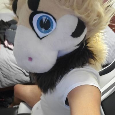 VbBuddyv's profile picture