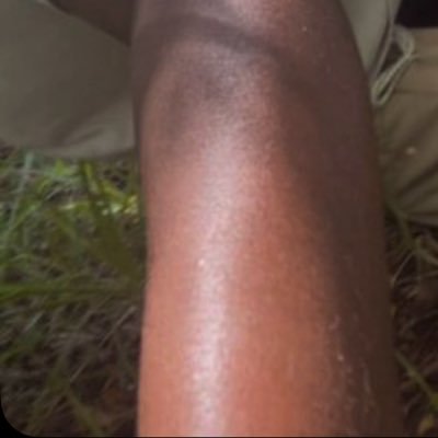 dl_studaddydl's profile picture