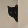 Sunshine and butterflies's profile picture