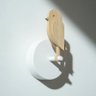 Birdie 的头像