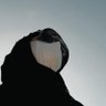 Profilbild von Lutfiah Fitriliana