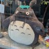 Profilbild von ゆずの木