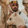 Mooad Shaqour | مُعاذ شَقّور's profile picture