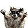 Rogue's profile picture