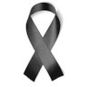Francisco Munoz's profile picture