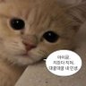 Фото профиля 넹🐾