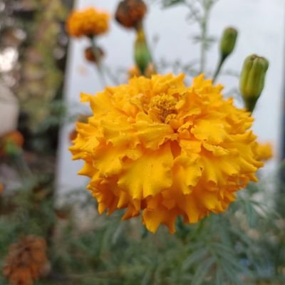RamMeena012's profile picture