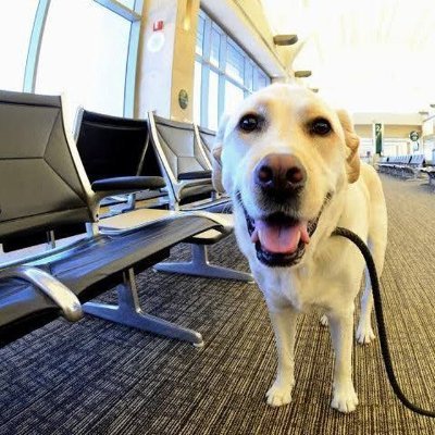 AF__Legend's profile picture