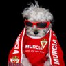 Tudelinhoooo profil fotoฤrafฤฑ