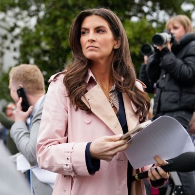 Kaitlan Collins's profile picture