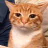 Profilbild von guy from hell