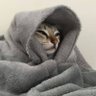 UoU's profile picture