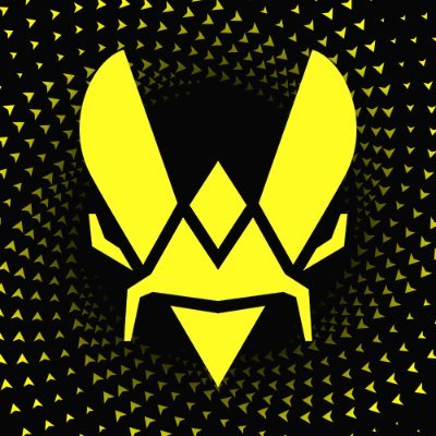 Team Vitality League's profile picture