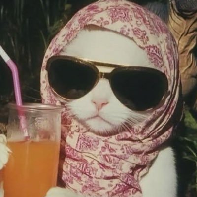 abeerayy__19's profile picture