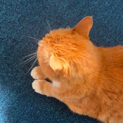 푸름's profile picture
