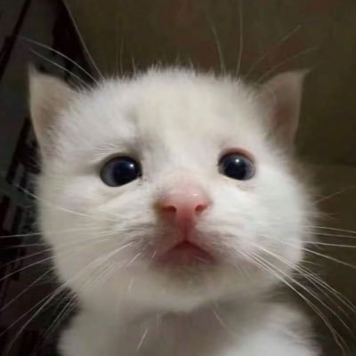nldlyywfzm's profile picture