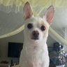 Ramos Ramos 💐💐 profil fotoğrafı