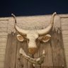 Sjaak's profile picture