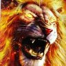 BabbaR ShaiR profil fotoğrafı