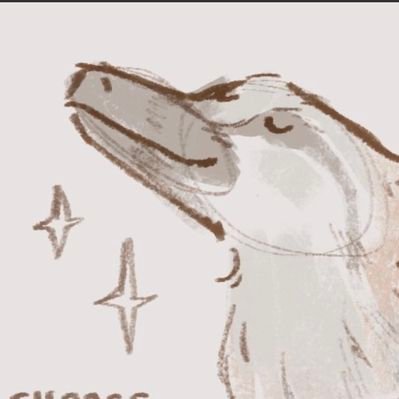 legodinoenjoyer's profile picture