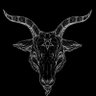 Francisco Morales's profile picture
