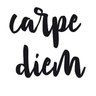 Carpe Diem 🪶🪶's profile picture