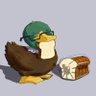 DuckDuck's profile picture