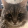 Profilbild von Michael