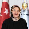 Hatice Yeşim Türker's profile picture