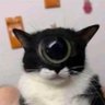 luis ledesma profil fotoğrafı