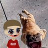Rawdog 的头像
