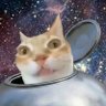 Profilbild von ALIEL 🛸