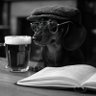 Mardy Bum 🦉 🇬🇧 🇺🇸 profil fotoğrafı