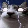 Profilbild von low cortisol user