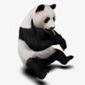 Profilbild von papandaぱんだ