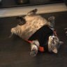 Jinterfell's profile picture
