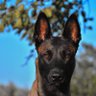 Andy (Don’t believe the MSM)'s profile picture