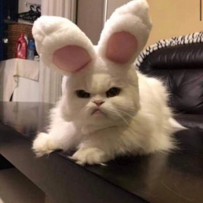 naazeenoo's profile picture