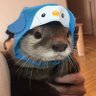 blue's profile picture