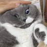 B o g o s B i n T e D's profile picture