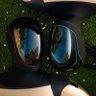 F_nel's profile picture