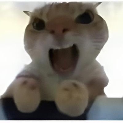 笑哥走丢了Xiao's profile picture