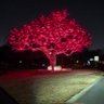 jaiminbm's profile picture