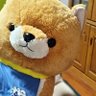 Profilbild von やと